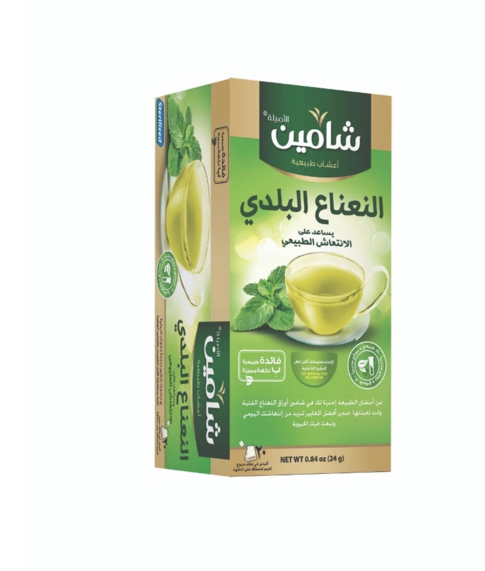 Shamin Municipal mint /20/